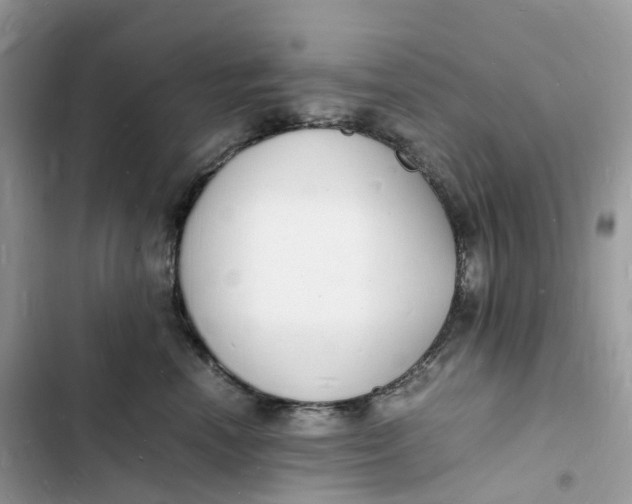 X0000103290666200809191831