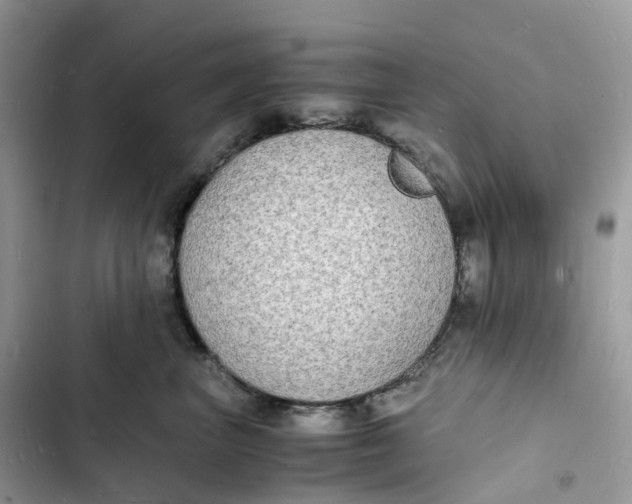 X0000103290667200809191831