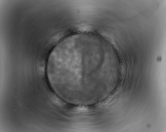 X0000103290668200809191831