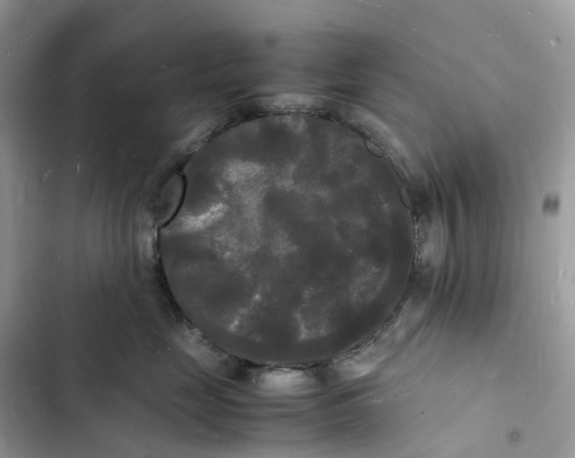 X0000103290669200809191831