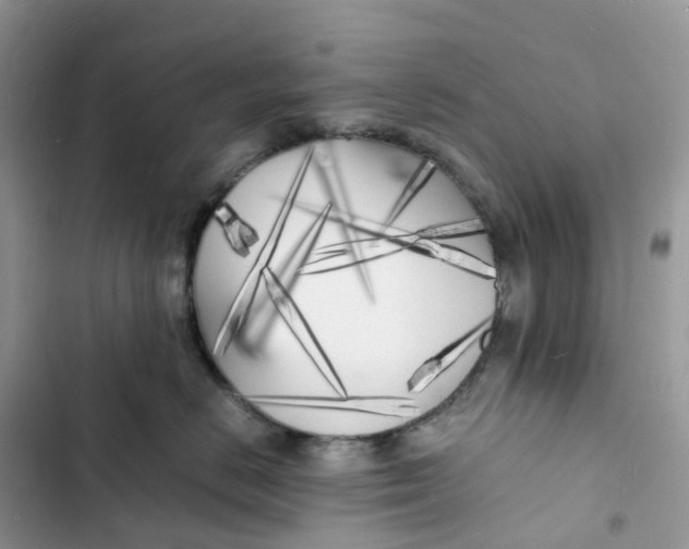 X0000103290670200809191831