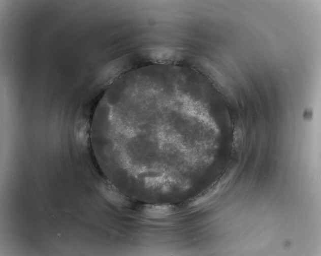 X0000103290671200809191831