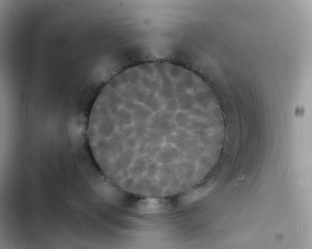 X0000103290672200809191831