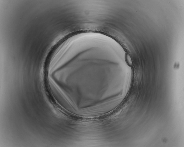 X0000103290674200809191831