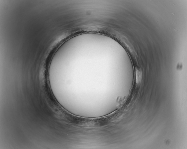 X0000103290675200809191831