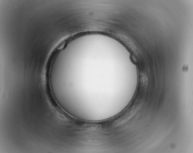 X0000103290676200809191831