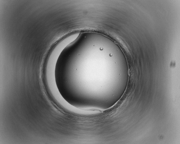 X0000103290677200809191831