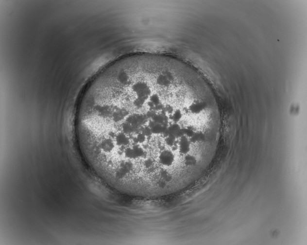 X0000103290679200809191831