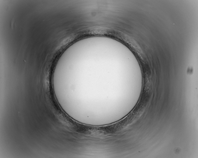 X0000103290681200809191831