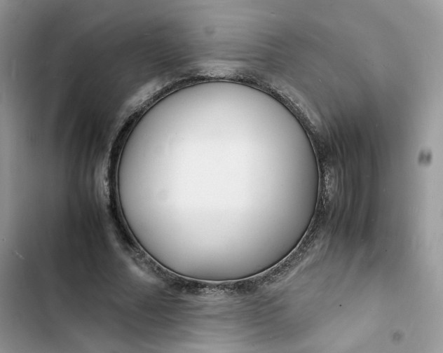 X0000103290682200809191831