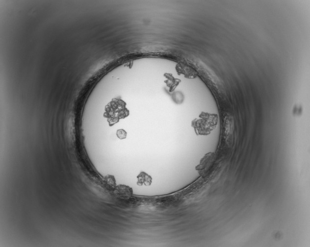 X0000103290684200809191831