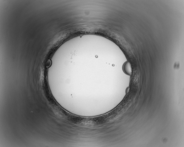 X0000103290685200809191831