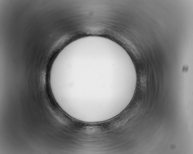 X0000103290686200809191831