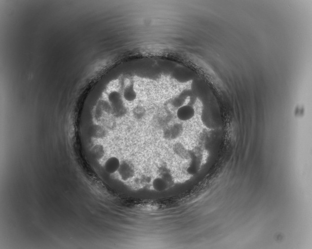 X0000103290687200809191831