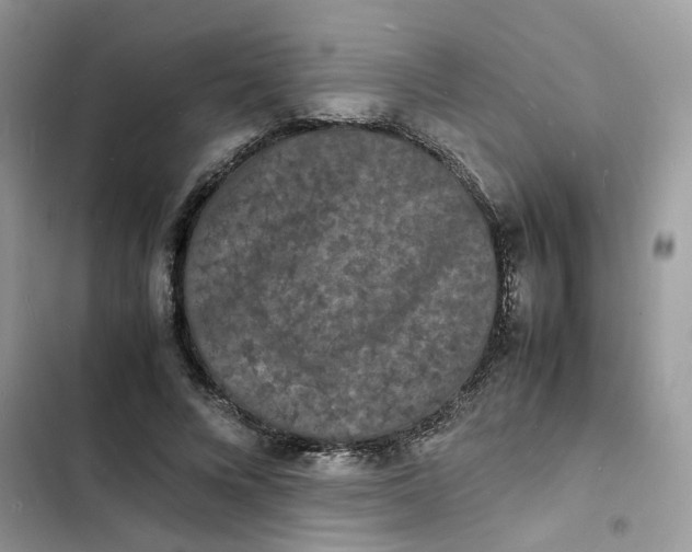 X0000103290688200809191831