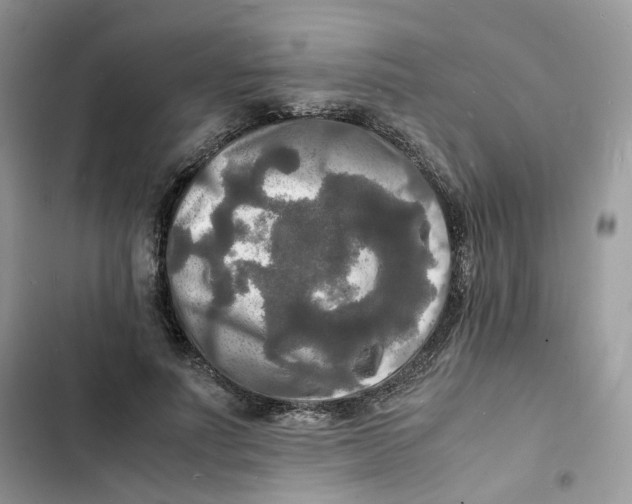 X0000103290691200809191831