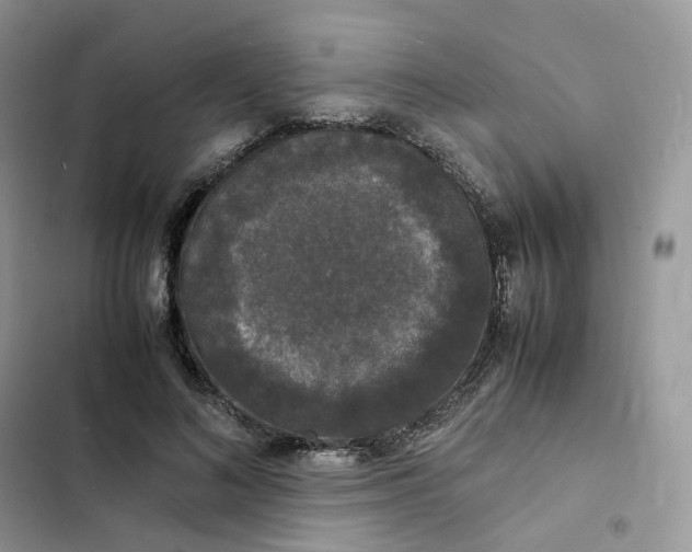 X0000103290692200809191831