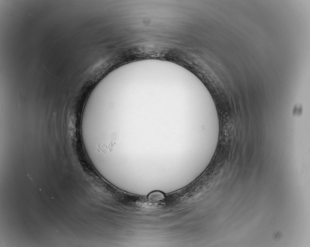 X0000103290693200809191831