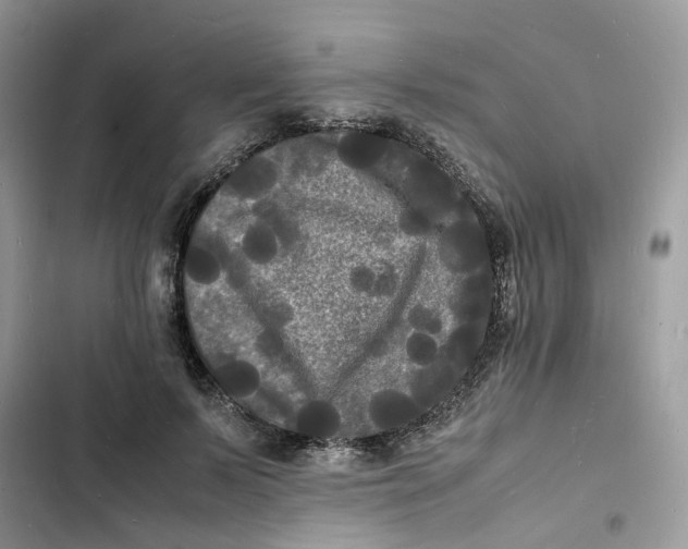 X0000103290695200809191830