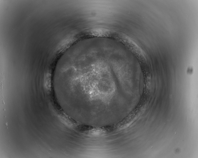 X0000103290696200809191830