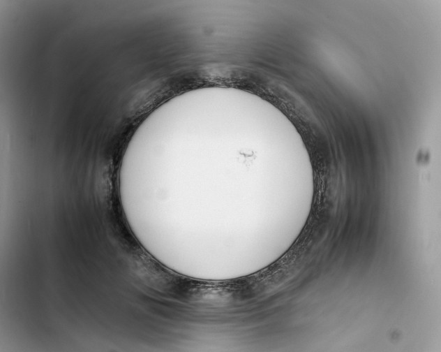 X0000103290702200809191830