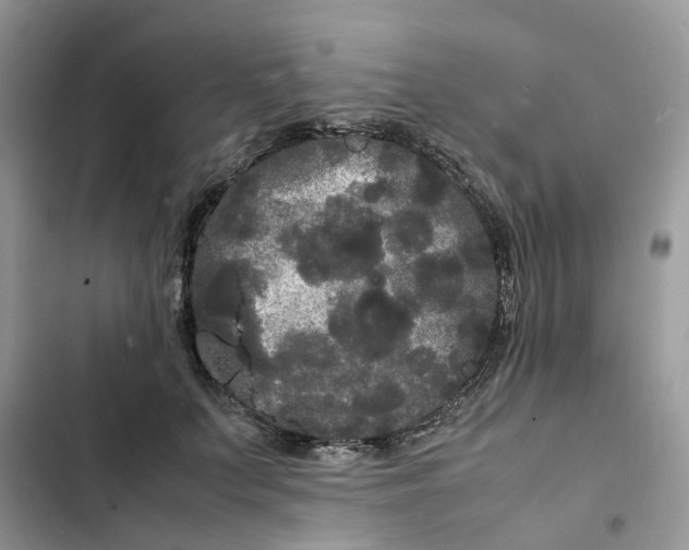 X0000103290703200809191830