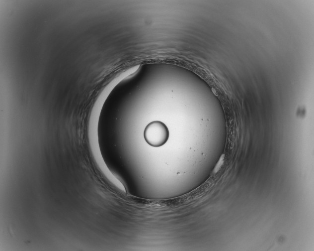 X0000103290704200809191830