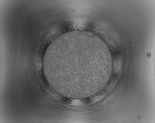 X0000103290705200809191830