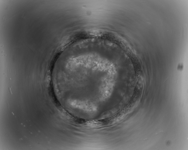 X0000103290707200809191830