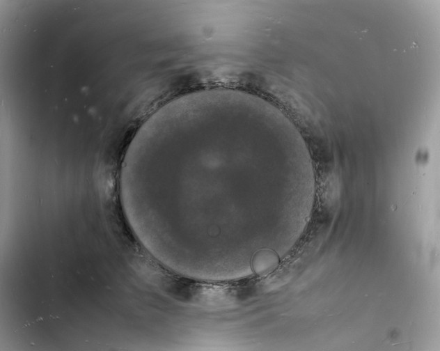 X0000103290709200809191830