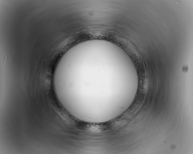 X0000103290710200809191830