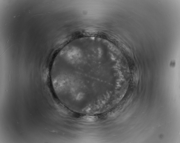 X0000103290711200809191830