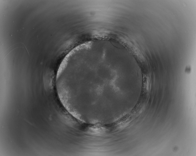 X0000103290712200809191830