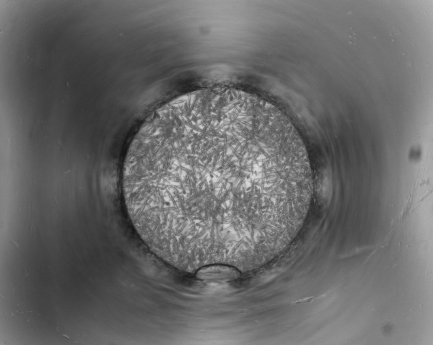 X0000103290715200809191830