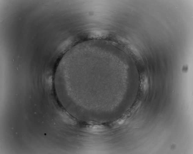 X0000103290716200809191830