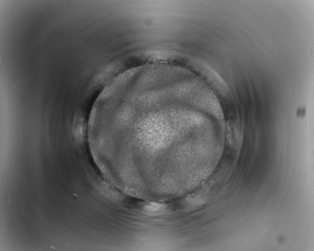 X0000103290718200809191830