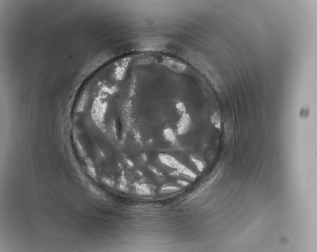 X0000103290721200809191829