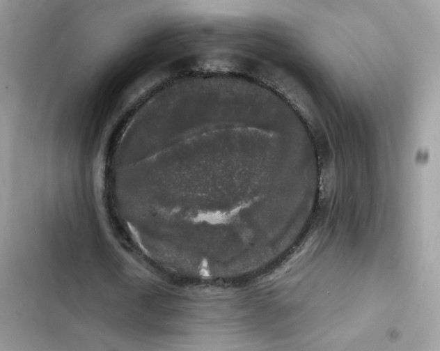 X0000103290722200809191829