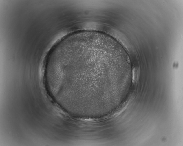 X0000103290723200809191829