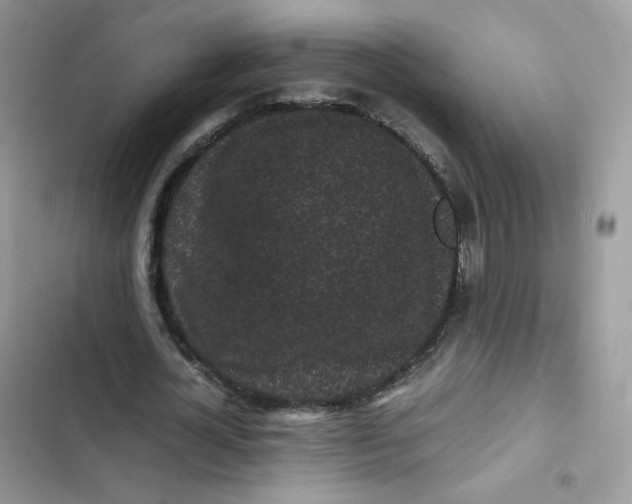 X0000103290724200809191829