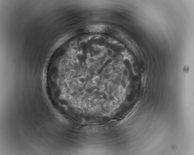 X0000103290725200809191829