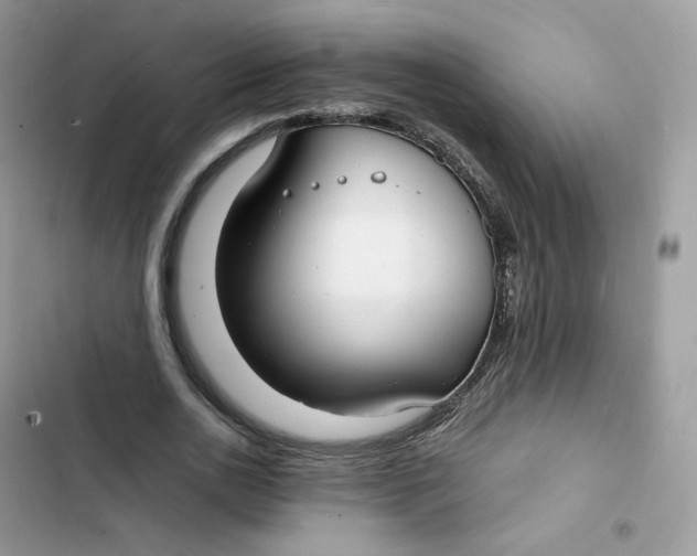 X0000103290726200809191829