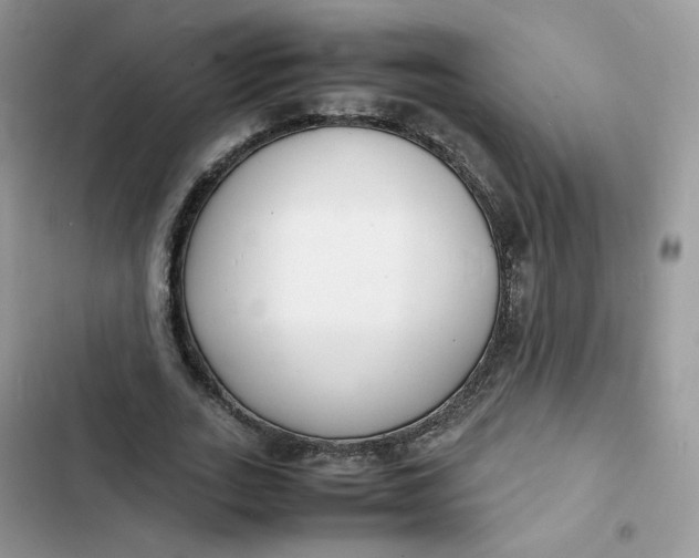 X0000103290727200809191829