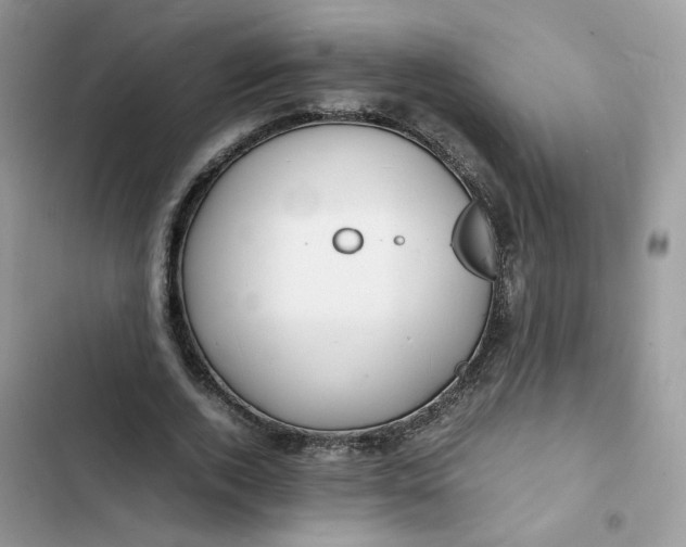 X0000103290728200809191829