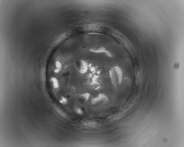 X0000103290729200809191829