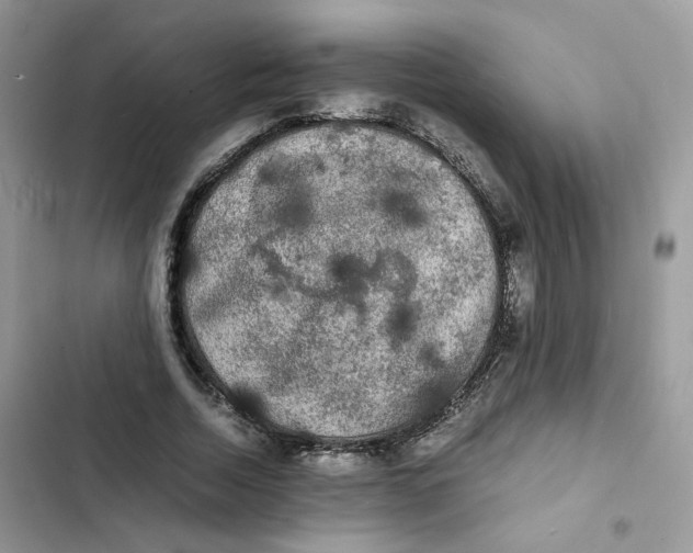 X0000103290730200809191829