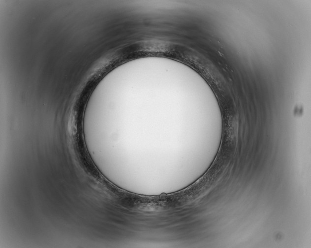 X0000103290731200809191829