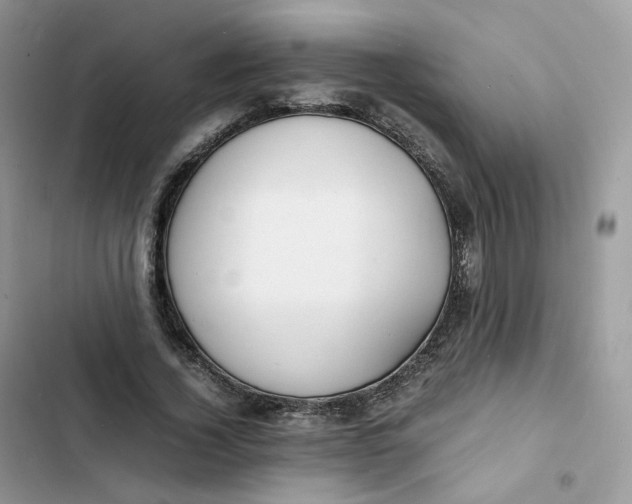 X0000103290732200809191829