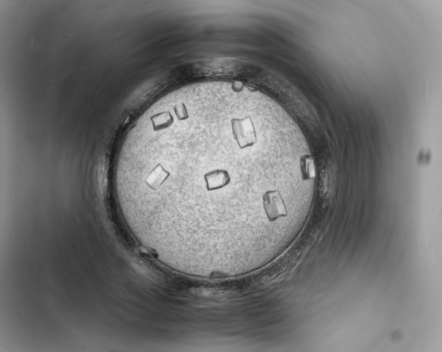 X0000103290733200809191829