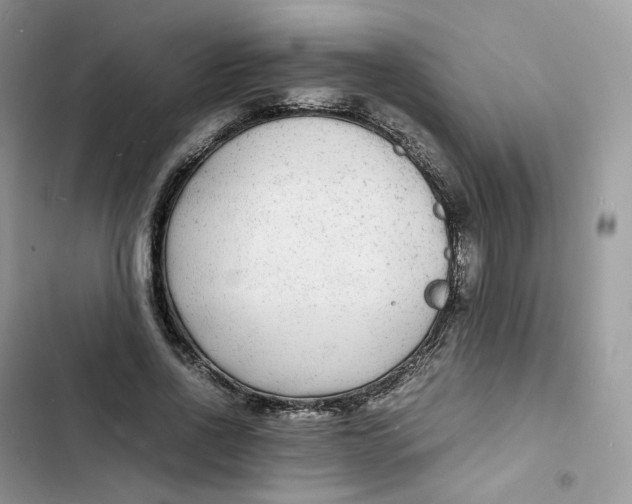 X0000103290734200809191829